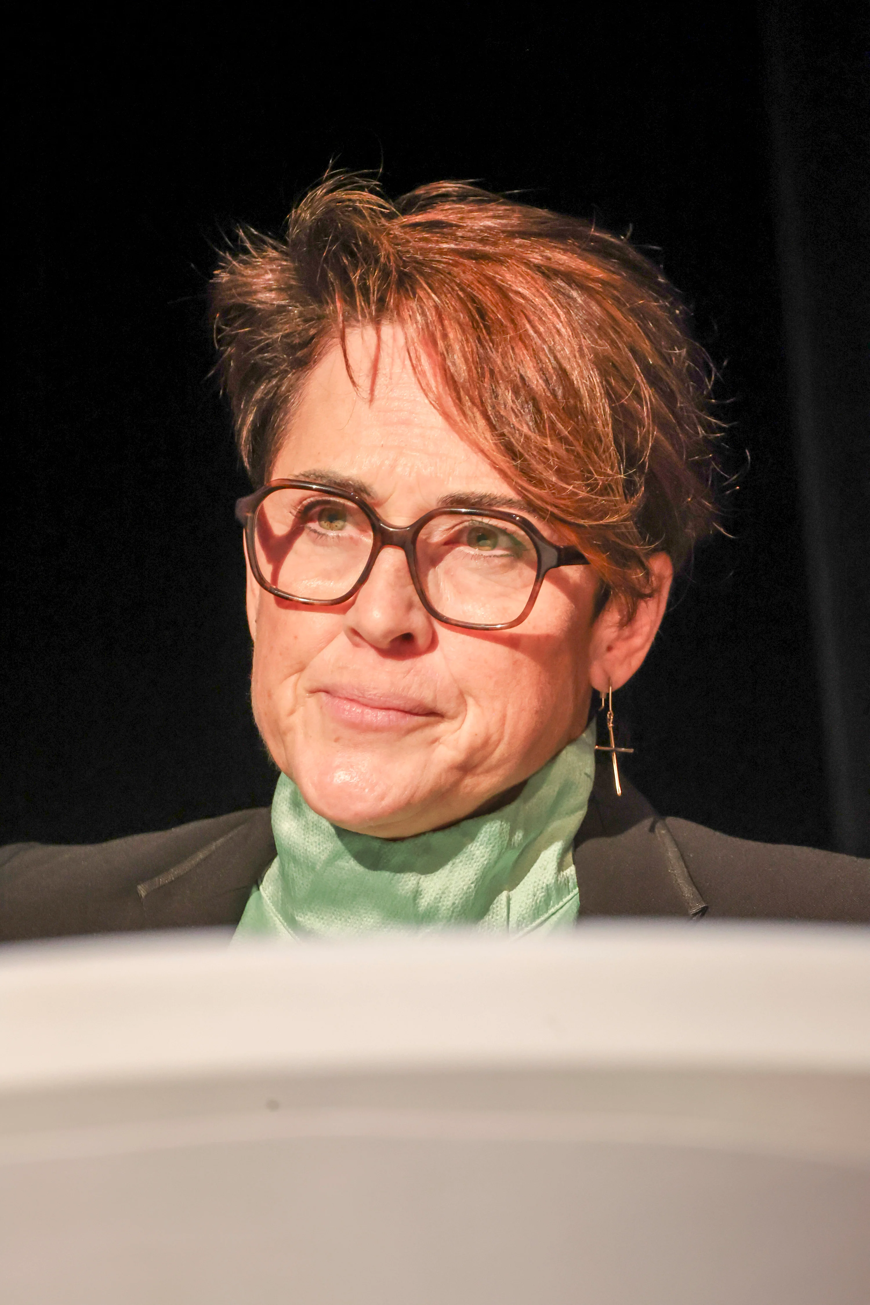 Grande réunion publique au Cap Périaz - Photo 4