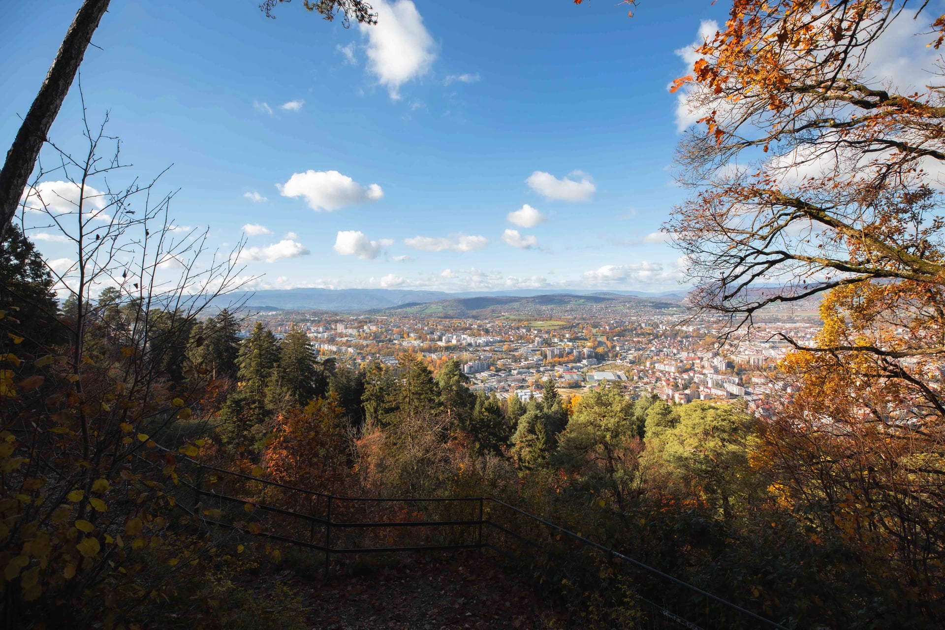 Vue panoramique sur le lac d'Annecy - Patrimoine naturel et espaces verts - Acteurs Annecy