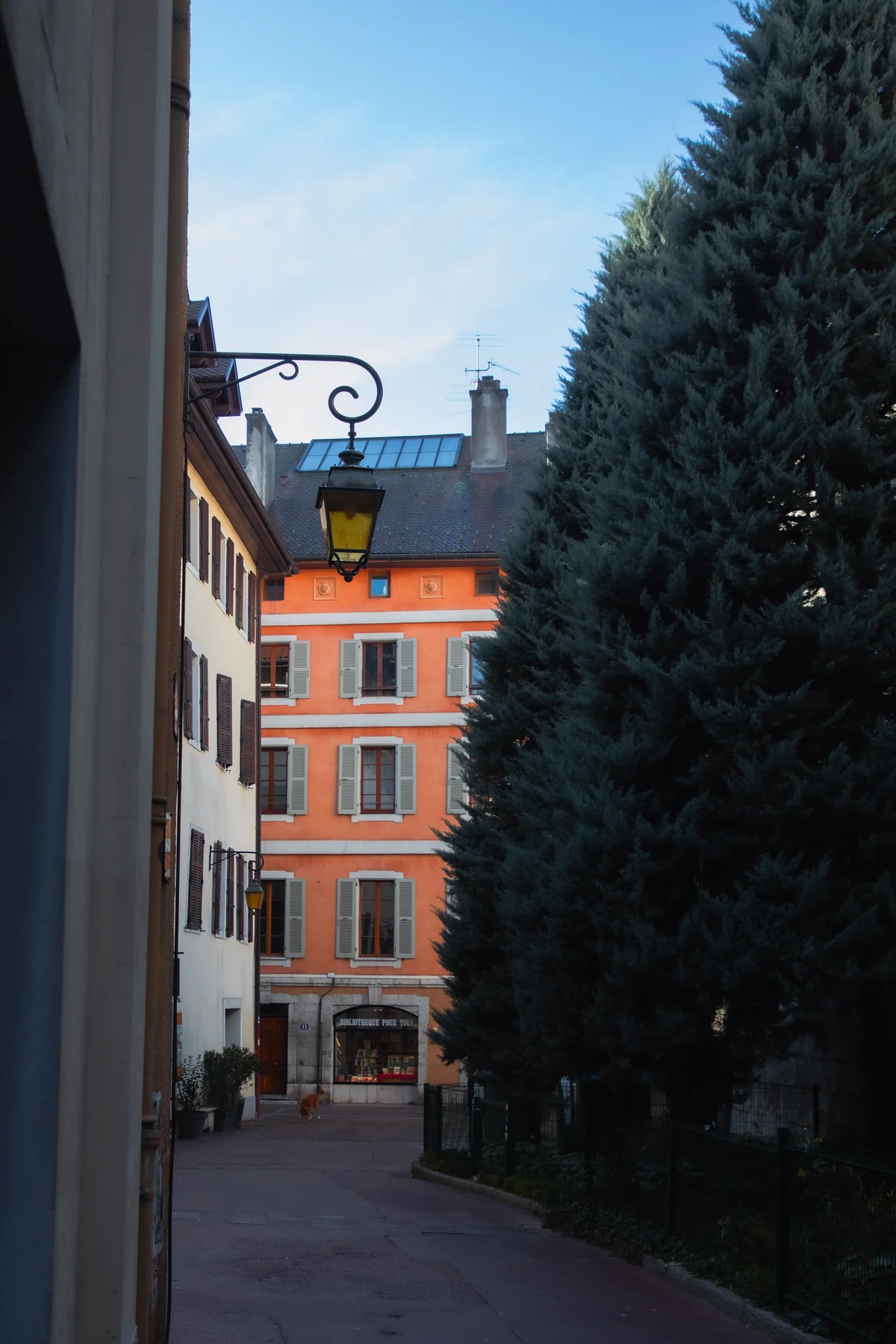 Réunion publique à Annecy - Réunion publique à Annecy Centre - Acteurs Annecy