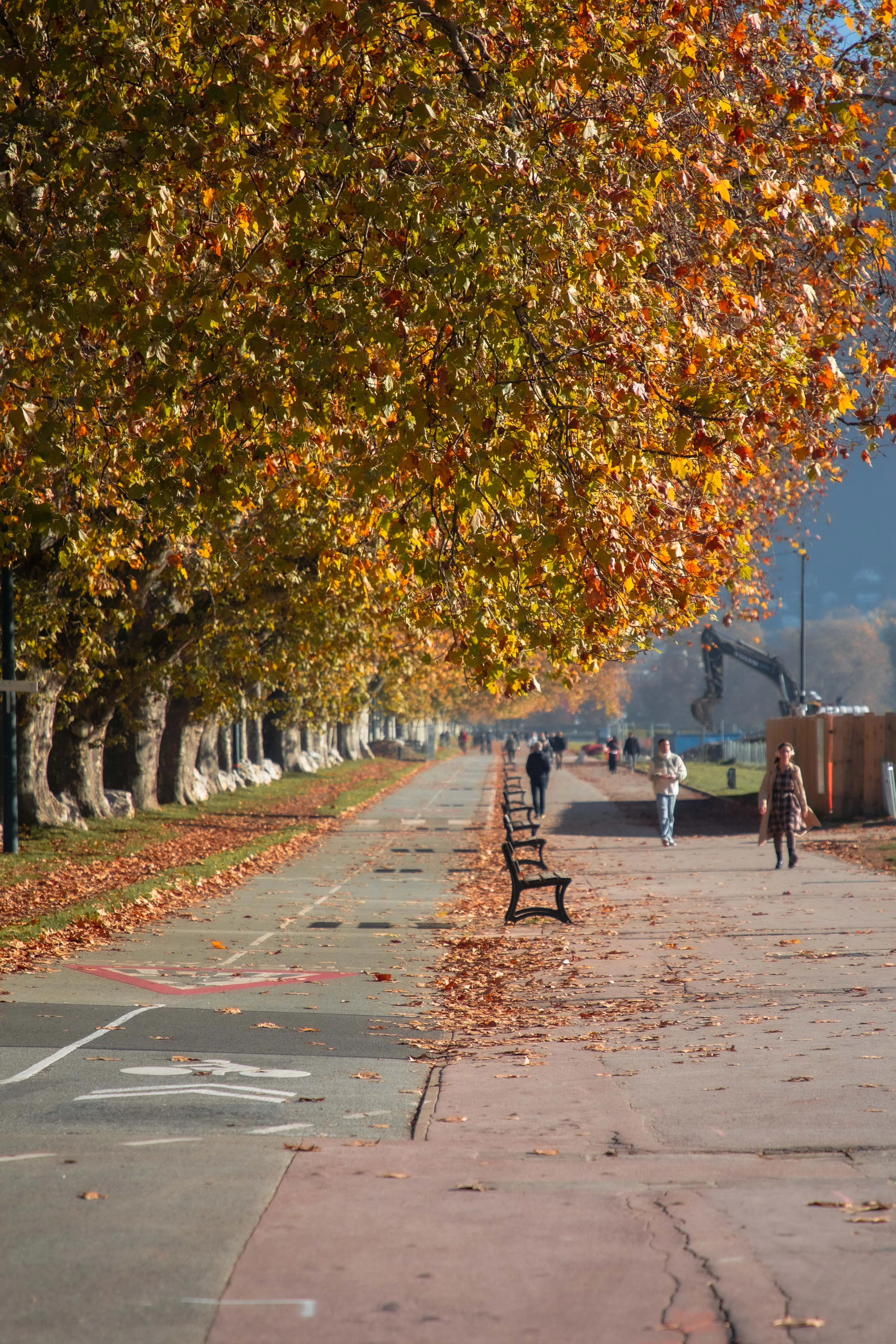 Le Pâquier au bord du lac d'Annecy - Tourisme et qualité de vie - Acteurs Annecy