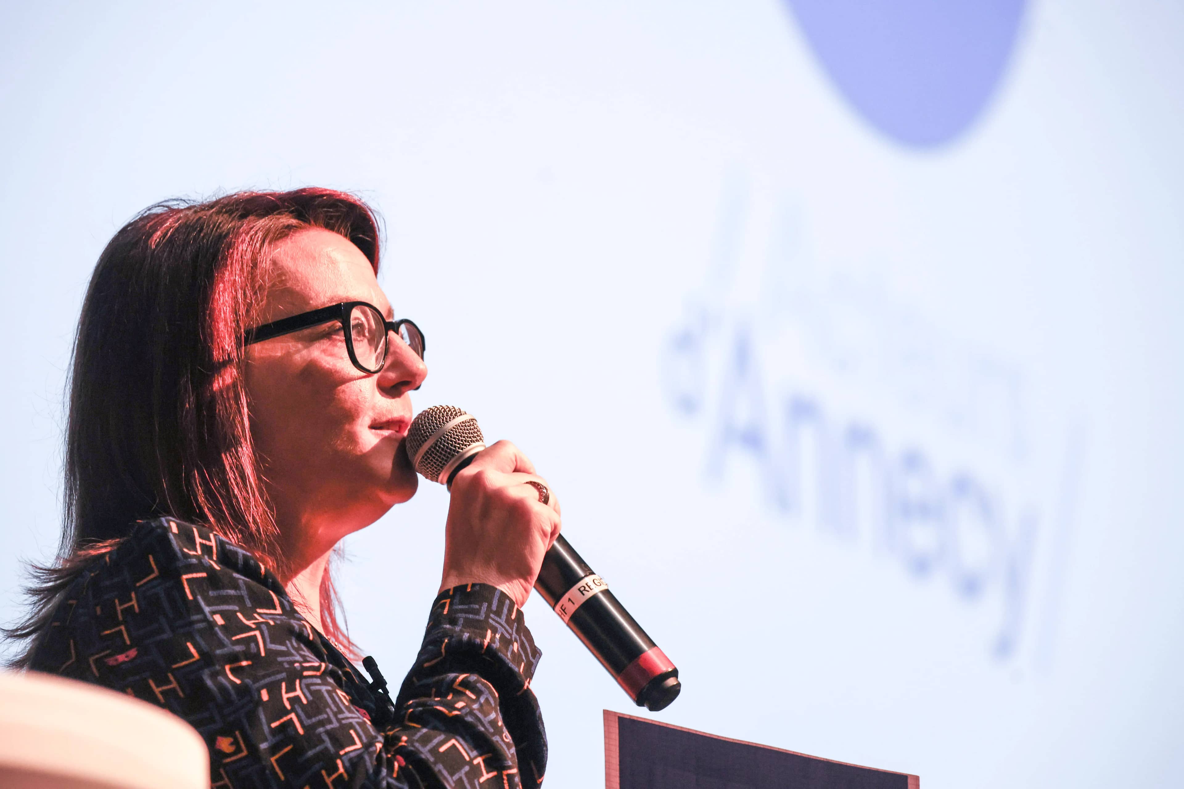 Grande réunion publique au Cap Périaz - Photo 3