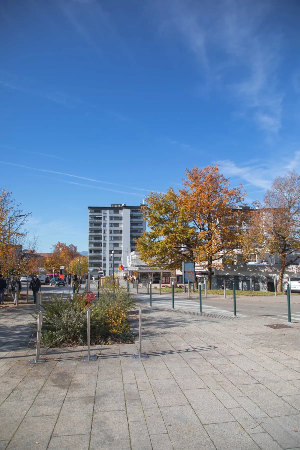 Embellir et rafraîchir les places du Vallon et de Chorus