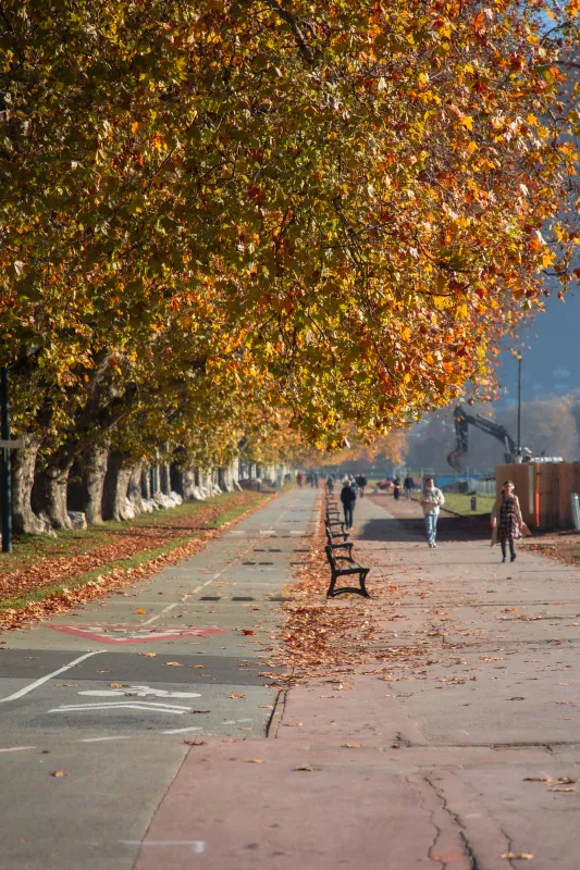 Le Pâquier au bord du lac d'Annecy - Tourisme et qualité de vie - Acteurs Annecy