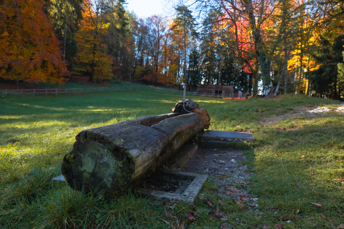 Parc des Biches à Annecy - Nature et transition écologique - Acteurs Annecy