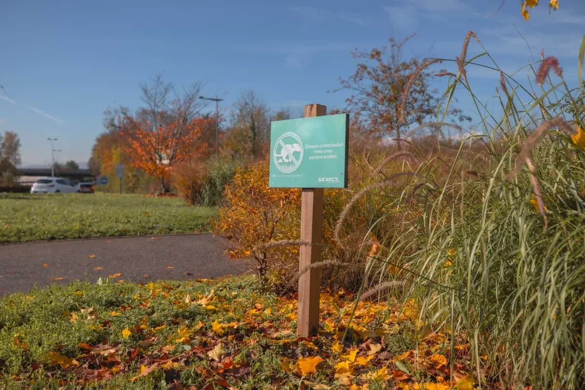 Lutter contre l'isolement des seniors