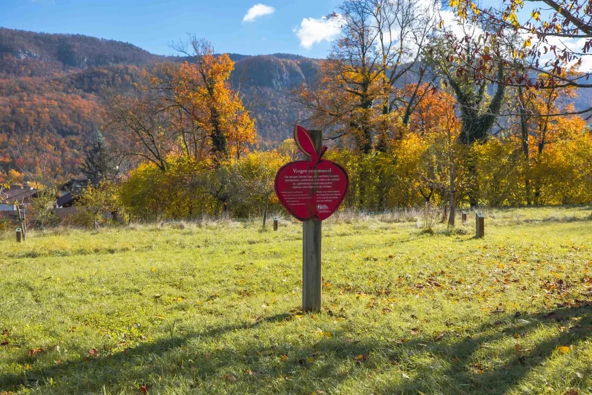 Fluidifier les accès autoroutiers et l'Avenue d'Aix