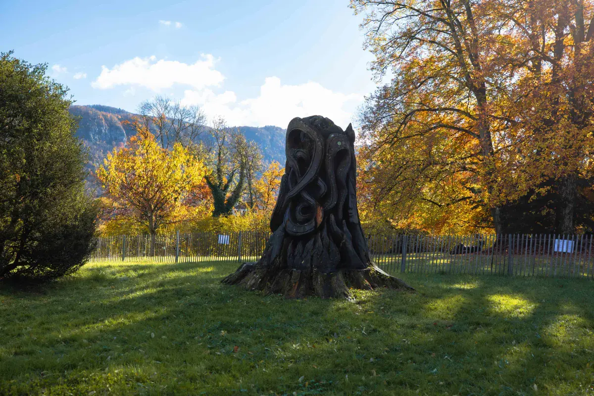 Entrée d'une propriété résidentielle avec un portail en fer forgé ouvert sur une allée pavée, entourée de verdure à Seynod
